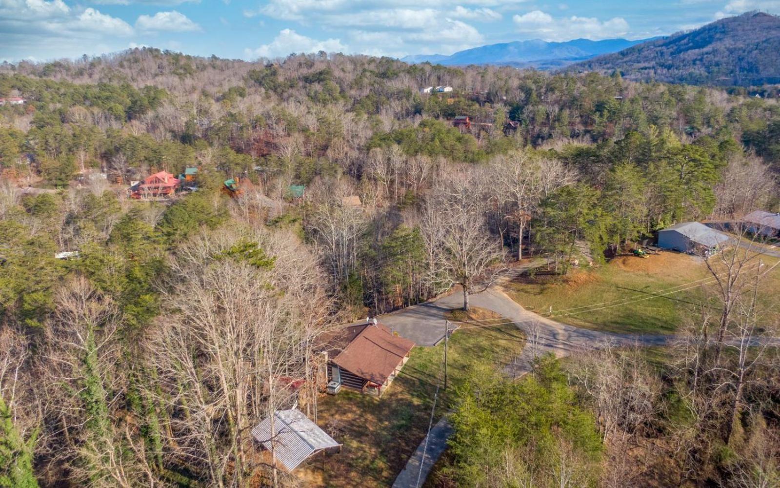 Wooded Bliss Hot Tub Single Level Cabin With No Steps Rocking Chairs And Wooded Views 鸽子谷 外观 照片